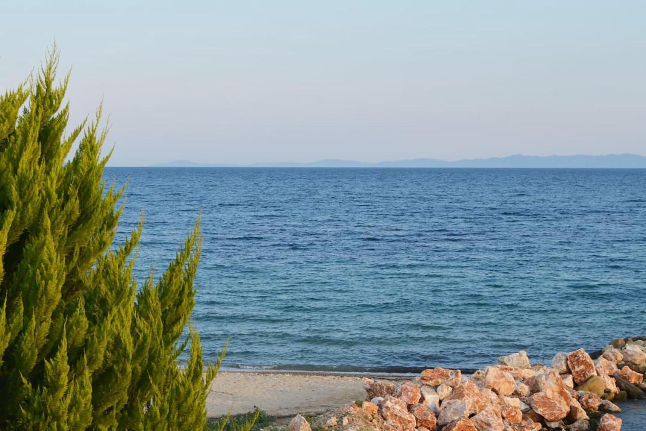 Lemon Beach Front Apartment, Nikiti מראה חיצוני תמונה